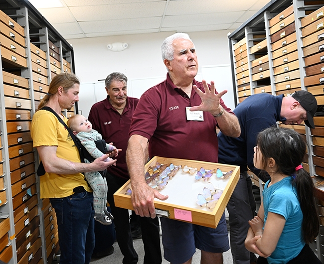 Jeff Smith (foreground), curator of the Bohart Museum of Entomology's global Lepidoptera, chats with guests. In back is Bohart associate Greg Kareofelas. (Photo by Kathy Keatley Garvey)