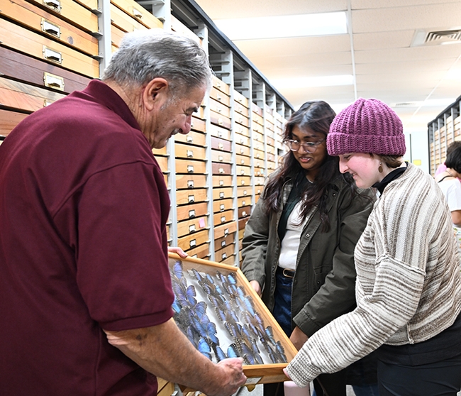 Bohart Museum associate Greg Kareofelas shows butterfly specimens to UC Davis students: Emily Anne Richter (right), a chemistry major, and Lalinna Naini, majoring in environmental toxicology. (Photo by Kathy Keatley Garvey)