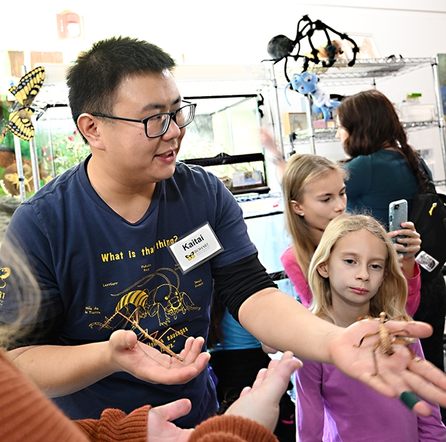 Bohart Museum associate and UC Davis entomology major Kaitai Liu delights in showing insects from the petting zoo to the crowd. (Photo by Kathy Keatley Garvey)