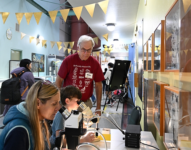 Mike Pitcairn, retired senior environmental scientist-supervisor, California Department of Food and Agriculture, assists with the microscope activity. (Photo by Kathy Keatley Garvey)