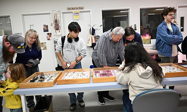 A crowd gathers around UC Davis doctoral student and entomologist Carla-Cristina “CC” Edwards of the lab of medical entomologist-geneticist Geoffrey Attardo. (Photo by Kathy Keatley Garvey)