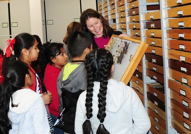 Tabatha Yang, education and outreach coordinator for the Bohart Museum of Entomology, shows butterfly specimens to visiting students. She chairs the UC Davis Biodiversity Day, also known as 