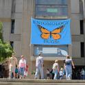 Bug banner at Briggs beckons. (Photo by Kathy Keatley Garvey)