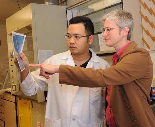 MALARIA RESEARCHERS Win Surachetpong and his major professor Shirley Luckhart working in the Luckhart lab at the University of California, Davis. (Photo by Kathy Keatley Garvey)