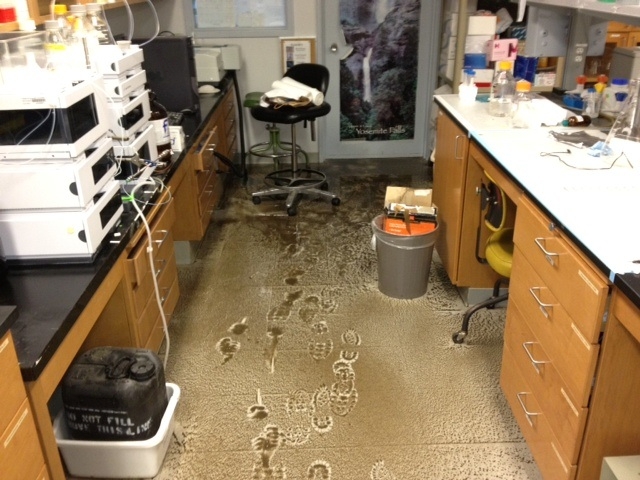 Bruce Hammock lab: a victim of the rainstorm. (Photo by Bruce Hammock)