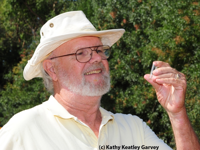 Native pollinator specialist Robbin Thorp, emeritus professor of entomology at UC Davis. (Photo by Kathy Keatley Garvey)