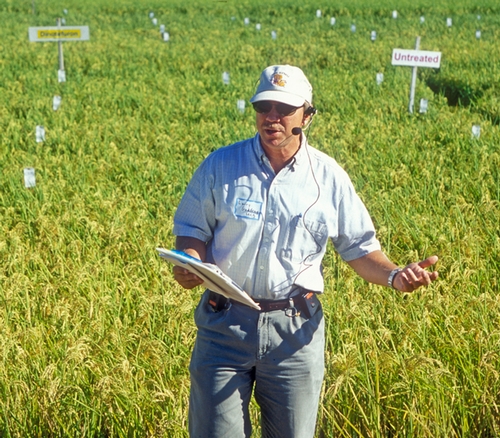 Cooperative Extension Specialist Larry Godfrey of the UC Davis Department of Entomology leads a tour of a rice field. (Photo by John Stumbos)