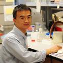 UC Davis postdoctoral researcher Zuodong Zhang. (Photo by Kathy Keatley Garvey)