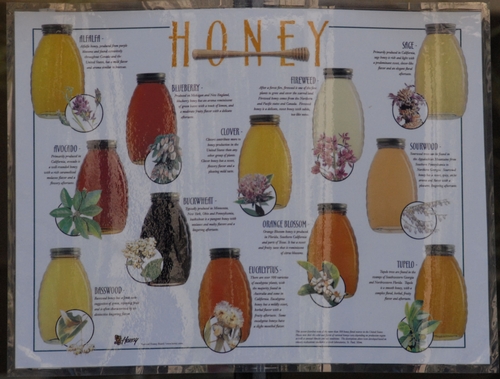HONEY VARIETALS include alfalfa, avocado, basswood, blueberry, buckwheat, clover, eucalyptus, fireweed, orange blossom, sage, sourwood and tupelo. This poster will be displayed at Briggs Hall during the 95th annual UC Davis Picnic Day. (Photo by Kathy Keatley Garvey)