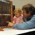 Beekeeper Brian Fishback shows his daughter, Emily, his bee observation hive. (Photo by Kathy Keatley Garvey)