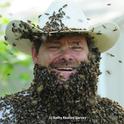 Wilton beekeeper Brian Fishback wearing a bee beard at the Harry H. Laidlaw Jr. Honey Bee Research Facility, UC Davis. This photo appeared in Kari-Lynn Winters' book, Buzz About Bees. (Photo by Kathy Keatley Garvey)