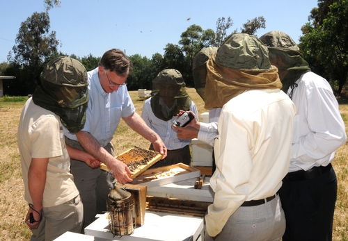 OPENING A HIVE--UC Cooperative Extension Apiculturist Eric Mussen (second from left) shows a frame to the Vietnamese scientists. (Photo by Kathy Keatley Garvey)