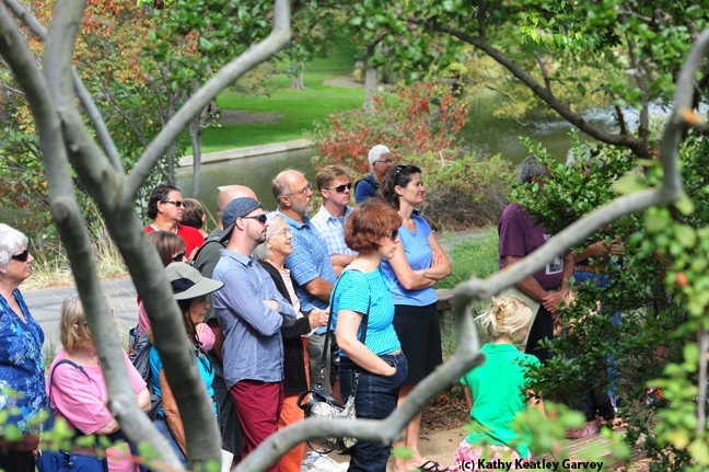 Tour group, partially shown here, proved very attentive. (Photo by Kathy Keatley Garvey)