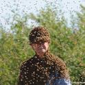 Bee wrangler Norm Gary surrounded by bees. (Photo by Kathy Keatley Garvey)