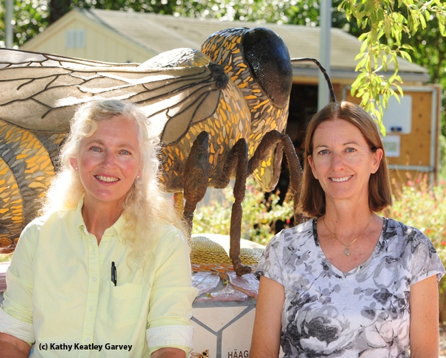 International landscape designer Kate Frey (left) of Hopland and her childhood friend, Rachael Long, Yolo County farm advisor/county director of the UC Cooperative Extension, Woodland on a visit to the Haagen-Dazs Honey Bee Haven, UC Davis, in September. Behind them is the mosaic ceramic bee sculpture created by Donna Billick, co-director of the UC Davis Art/Science Fusion Program. (Photo by Kathy Keatley Garvey)