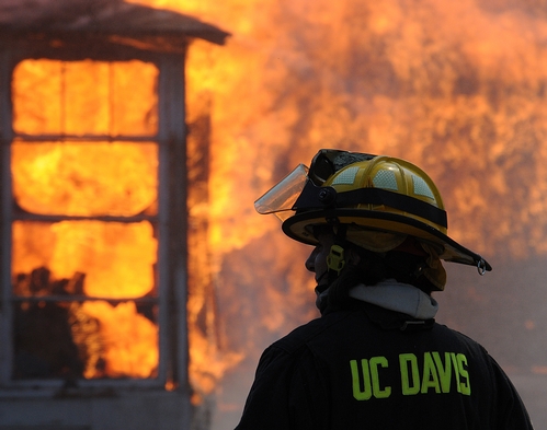 UC DAVIS student resident firefighter Chelsea Johnstone watches the flames during the control burn. (Photo by Kathy Keatley Garvey)