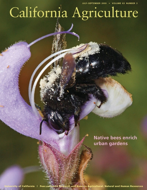 A CARPENTER BEE graces the cover of the current edition of California Agriculture. This spectacular photo is the work of Rollin Coville. See the California Agriculture journal online at http://californiaagriculture.ucanr.org/.