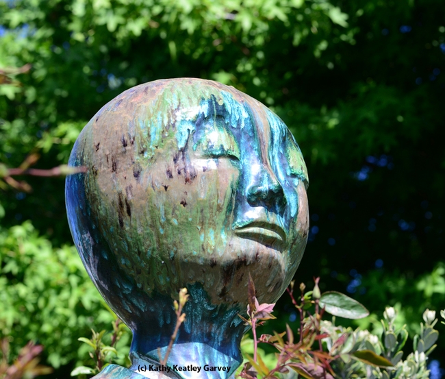 A torrent of emotions on the face of Mother Earth, the work of artist Donna Billick. (Photo by Kathy Keatley Garvey)