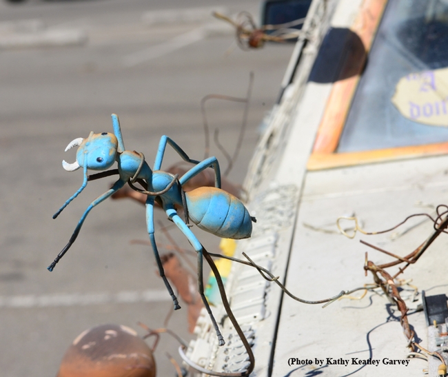 An stylized ant on the art car. (Photo by Kathy Keatley Garvey)
