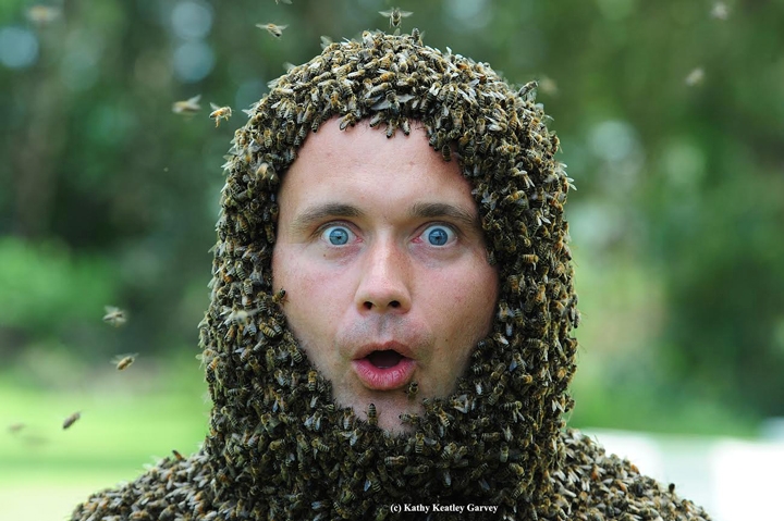 A Bee Beard Like No Other Bug Squad Anr Blogs