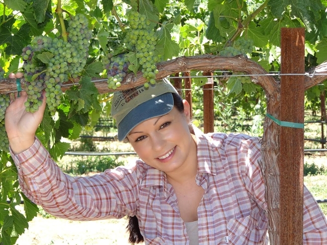 Cindy Preto, shown here in a UC Davis vineyard, is the first in her family to graduate from college. She's now a master's student, studying with Frank Zalom. (Photo by Liam Swords)