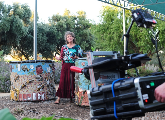 Diane Ullman talks about the art projects in the Haagen-Dazs Honey Bee Haven, UC Davis, that she and colleague Donna Billick launched. Ullman and Billick co-founded the UC Davis Art/Science Fusion Program. (Photo by Kathy Keatley Garvey)