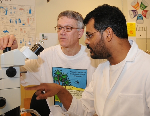 CHEMICAL ECOLOGISTS Walter Leal (left), professor and former chair of the UC Davis Department of Entomology, and postdoctoral researcher Zain Syed, at work in the Walter Leal lab. (Photo by Kathy Keatley Garvey)