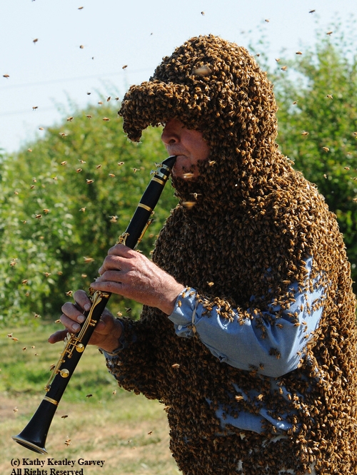NORMAN GARY combines two occupations: bees and music. (Photo by Kathy Keatley Garvey)