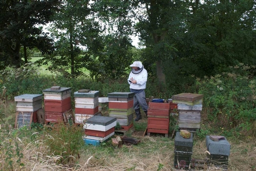 BEEKEEPER AND ARTIST Andrew Tyzack of East Riding, Yorkshire, UK, with his bees. (Photo courtesy of Andrew Tyzack)