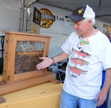Beekeeper Bill Cervenka provided the observation hive. (Photo by Kathy Keatley Garvey)