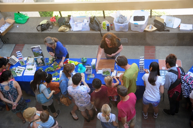 A bird's eye view of the UC IPM display in front of Briggs Hall during the 101st annual campuswide Picnic Day. Staffing the tables are Extension entomologist specialist emeritus Mary Lou Flint (left), former associate director for urban and community IPM and Karey Windbiel-Rojas who replaced Flint. (Photo by Kathy Keatley Garvey)