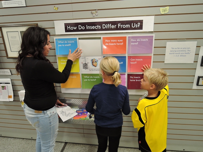 Natasha Pineiro and Lucy and Liam Anderson, all of Davis, check out a display. (Photo by Kathy Keatley Garvey)