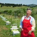Ann Sievers stands by her bees, a new addition to  IL Fiorello. This week is National Pollinator Week. (Photo by Kathy Keatley Garvey)