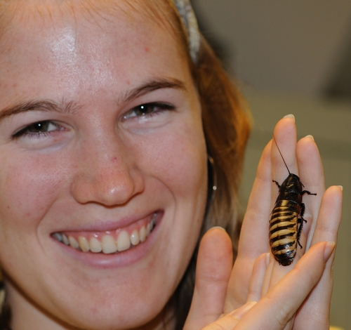 FIRST-YEAR GRADUATE STUDENT Emily Bzdyk, UC Davis Department of Entomology, with a tiger hissing cockroach (Gromphadorhina grandidieri), native to Madagascar. The 