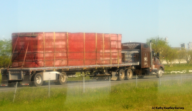 A truck loaded with bee hives. Image taken through a car window. (Photo by Kathy Keatley Garvey)