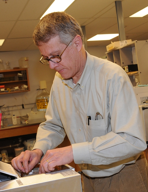 CHEMICAL ECOLOGIST Walter Leal working in his UC Davis lab. His lab revealed the secret mode of the insect repellent DEET in groundbreaking research published in 2008.(Photo by Kathy Keatley Garvey)