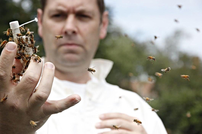 Extension apiculturist and professor David Tarpy of North Carolina State University will present a seminar on 