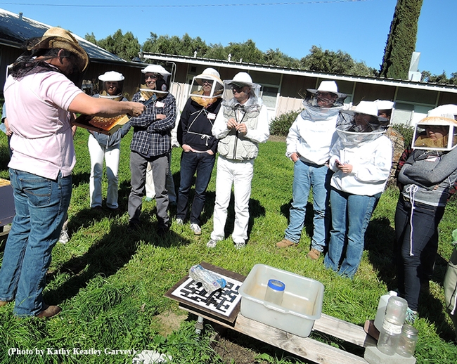 Staff research associate and beekeeper Bernardo Niño (back to camera) instructing a group of participants in the Feb. 13 class. (Photo by Kathy Keatley Garvey)