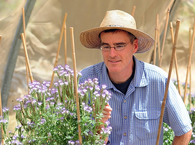 Pollination ecologist Neal Williams (shown) and several of his lab members will be participating in the Almond Field Days. (Photo by Kathy Keatley Garvey)