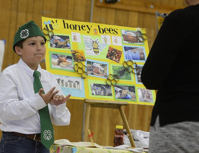 Nathaniel Haddon, 9, of the Vaca Valley 4-H Club, Vacaville, discusses bees at the Solano County 4-H Presentation Day. (Photo by Kathy Keatley Garvey)
