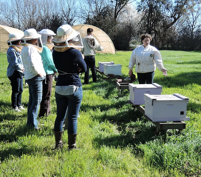 Extension apiculturist Elina Niño of UC Davis greets a beekeeping class before donning a veil and smoking the hive. (Photo by Kathy Keatley Garvey)