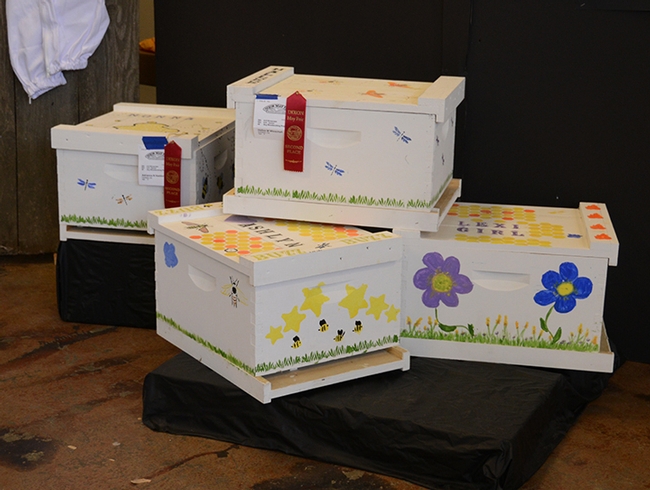 These decorated bee boxes are the work of youths in Garry Haddon's beekeeping project, Vaca Valley 4-H Club, Vacaville. (Photo by Kathy Keatley Garvey)