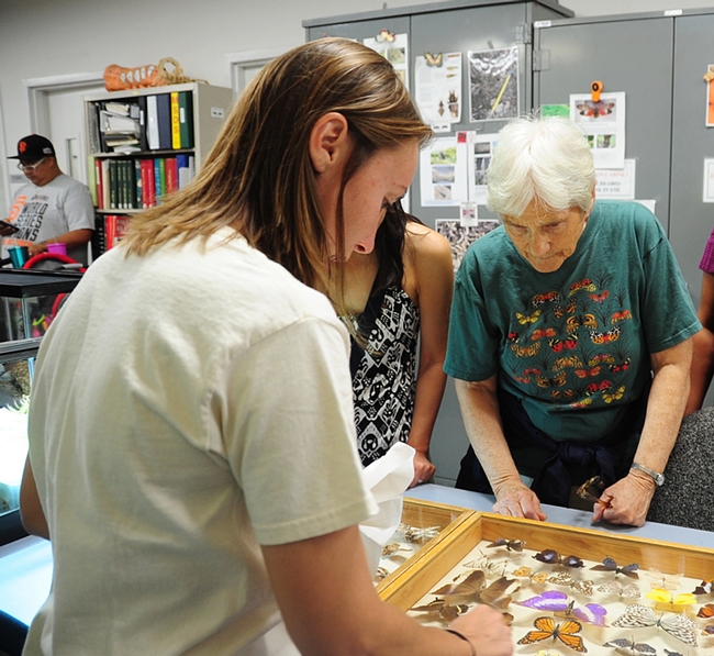 Nan Rowan of Davis talks to entomologist and UC Davis graduate student Jessica Gillung (foreground) at the open house on July 30. (Photo by Kathy Keatley Garvey)