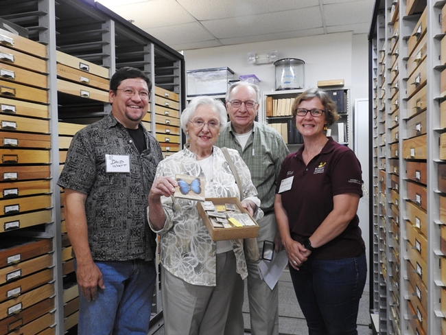 A donation to the Bohart: Esther and Gordon Schmierer (center) of Lodi donated Esther's specimens that she collected in 1973-73 while living in Belize. Flanking them are David Wyatt, professor, Sacramento City College, and Fran Keller, assistant professor, Folsom Lake College, who led the collection trip to Belize last summer. (Photo by Kathy Keatley Garvey)