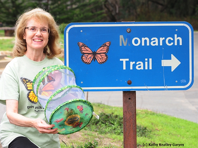 Marilyn, a butterfly enthusiast from Fairfield, ready to release two monarchs at the Natural Bridges State Park's monarch sanctuary. The butterfly mesh habitat is from the Bohart Museum of Entomology, UC Davis. The 