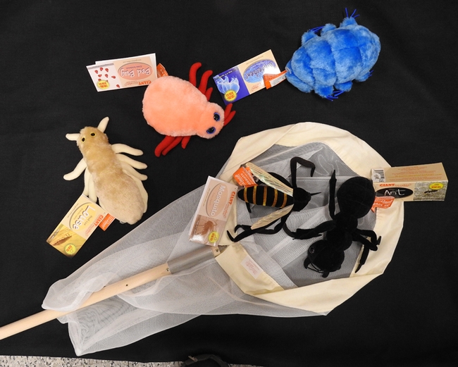 These are some of the stuffed animal critters available in the gift shop: (clockwise, from left) louse, bed bug, tardigrade, ant and mosquito. (Photo by Kathy Keatley Garvey)