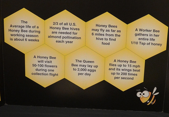 Some facts about bees, from the California State Beekeepers' Association. (Photo by Kathy Keatley Garvey)