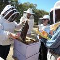 Extension apiculturist Elina Niño (left) with participants in a beekeeping course at UC Davis. (Photo by Kathy Keatley Garvey)
