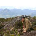 Ant specialist Marek Borowiec collecting ants at the summit of Mt Marojejy in northern Madagascar. (Photo by Kimiora Ward)