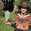 Rita LeRoy of Vallejo holds a Vacaville monarch before releasing it at Lighthouse Field State Park. (Photo by Walter Rockholt)